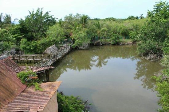 Santuario de cocodrilos 'El Cora'